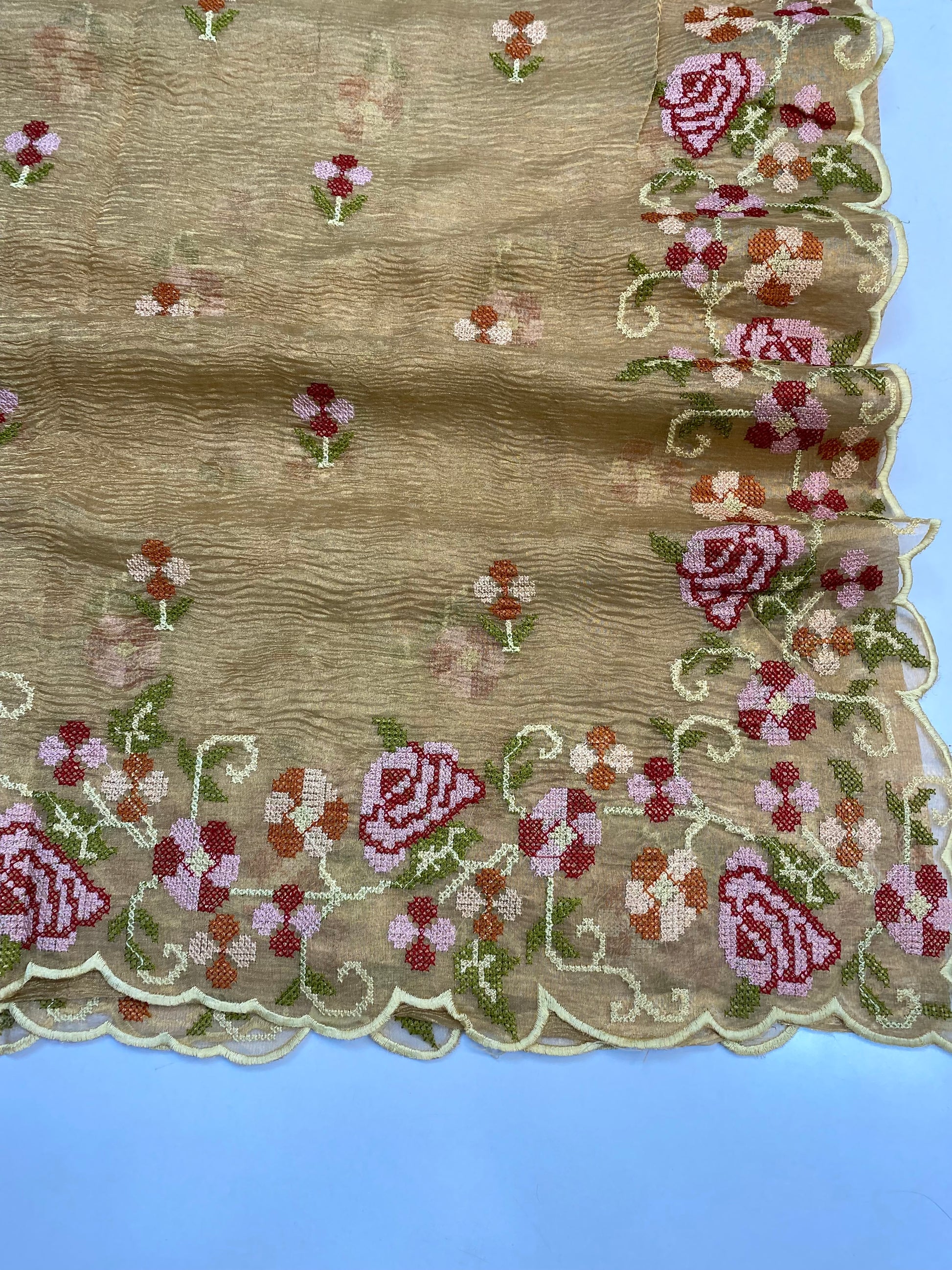 Pure Tissue Silk with hand cutwork Embroidery Banarasi Saree