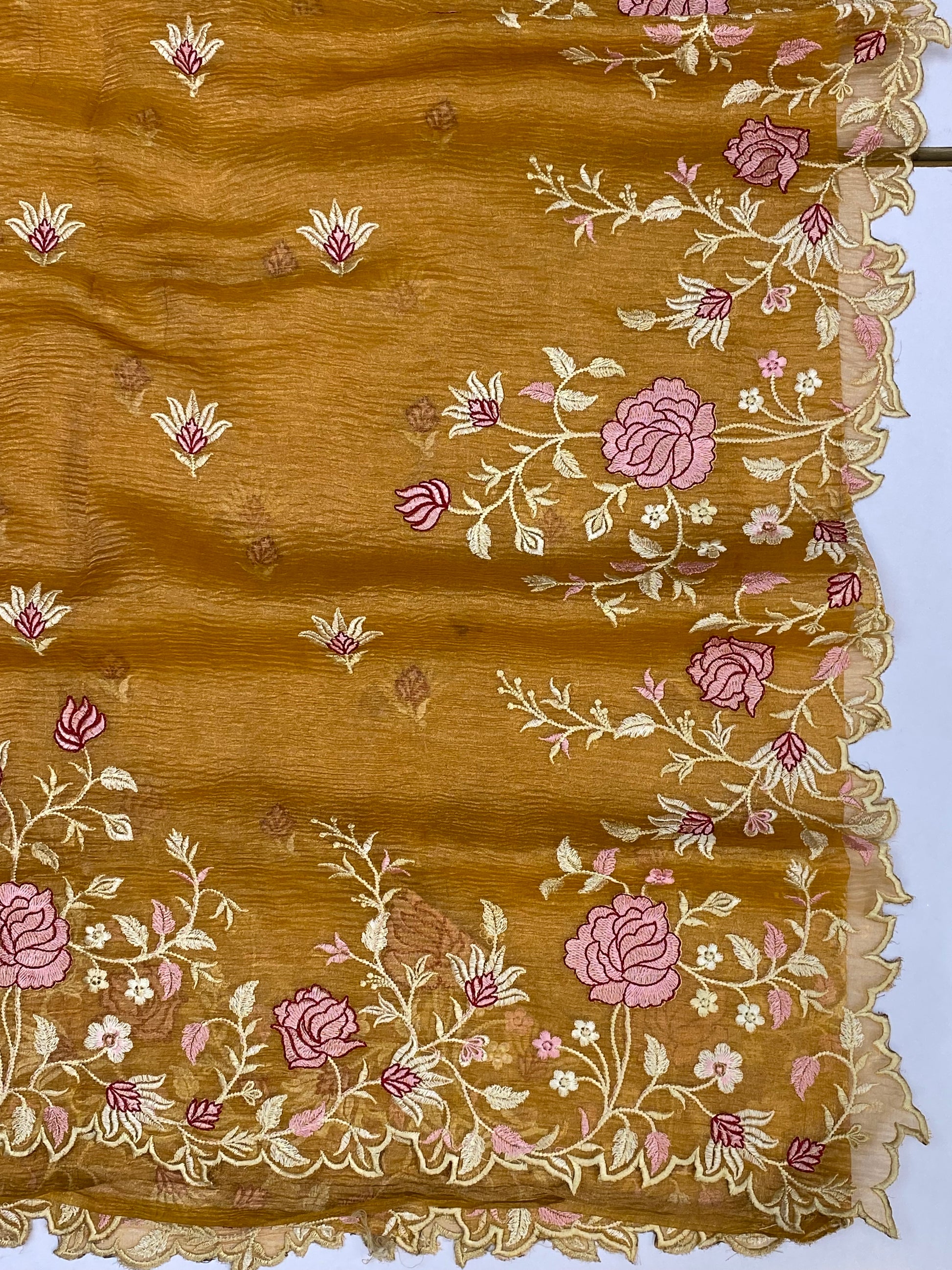 Pure Tissue Silk with hand cutwork Embroidery Banarasi Saree
