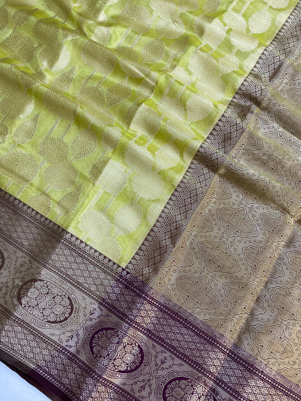Contrast Border and Pallu Tissue Silk Banarasi Saree
