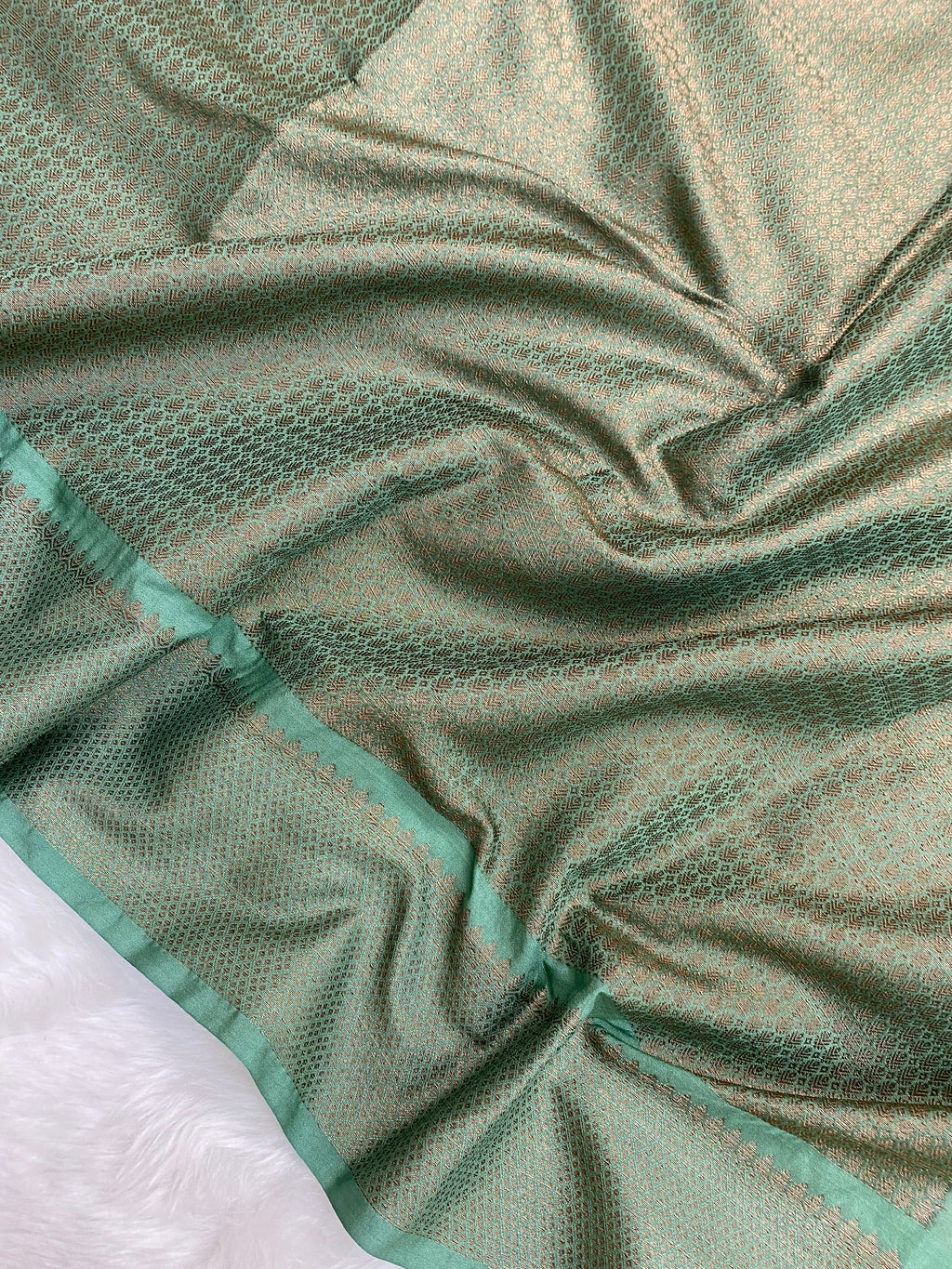 Sea Green Semi Georgette Banarasi Saree