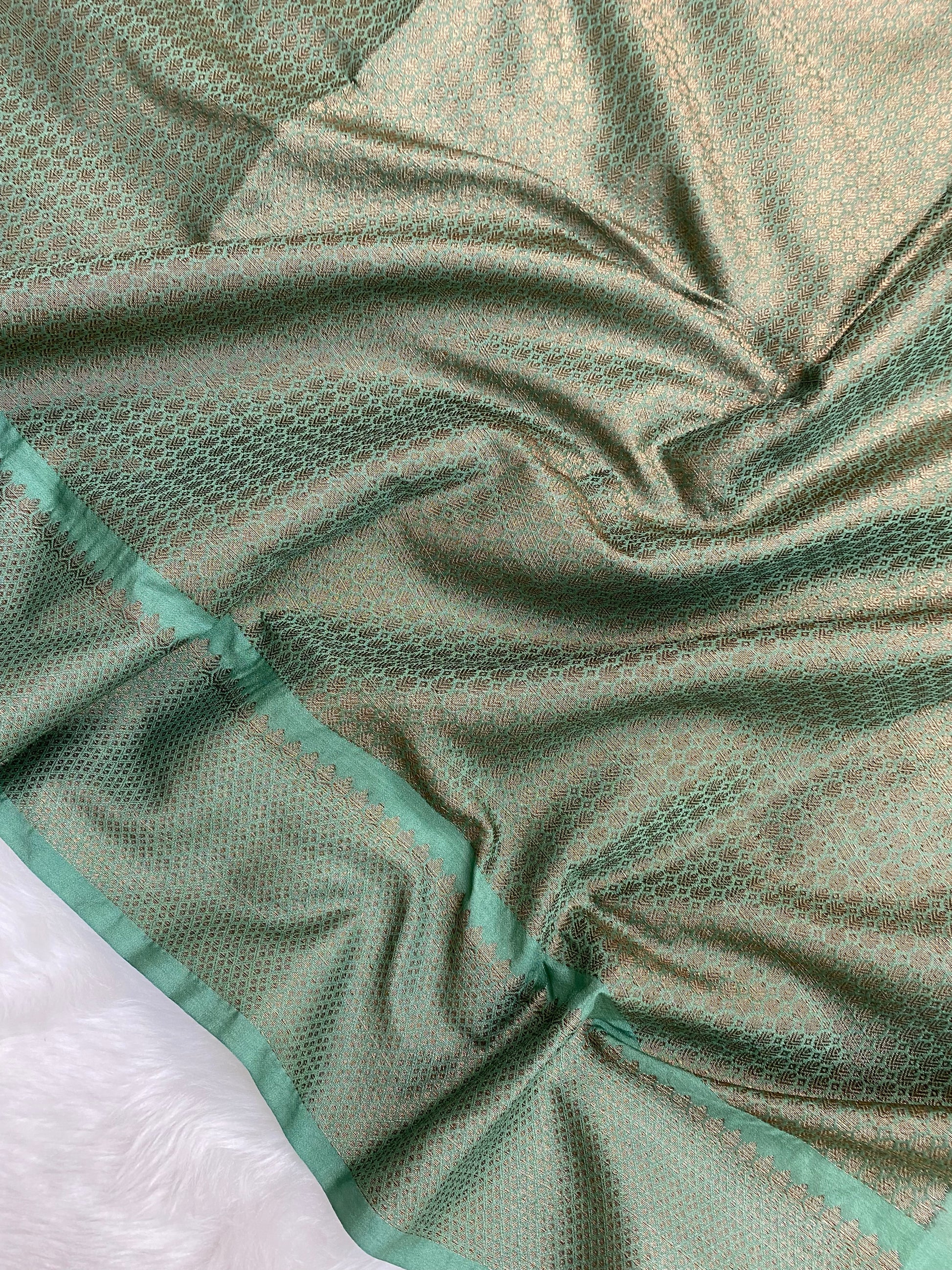 Sea Green Semi Georgette Banarasi Saree