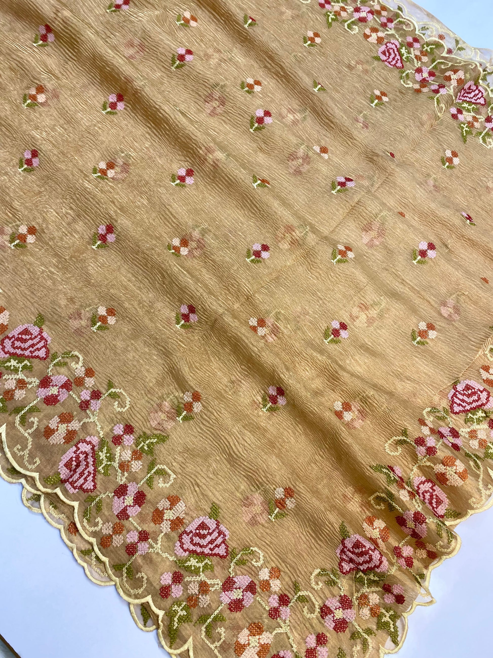 Pure Tissue Silk with hand cutwork Embroidery Banarasi Saree