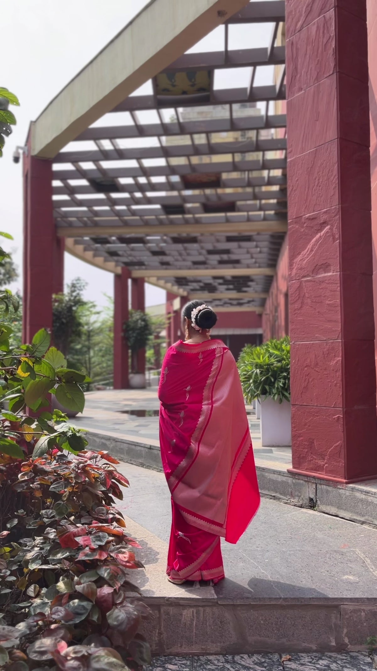 Cherry Rani mashru silk banarasi saree